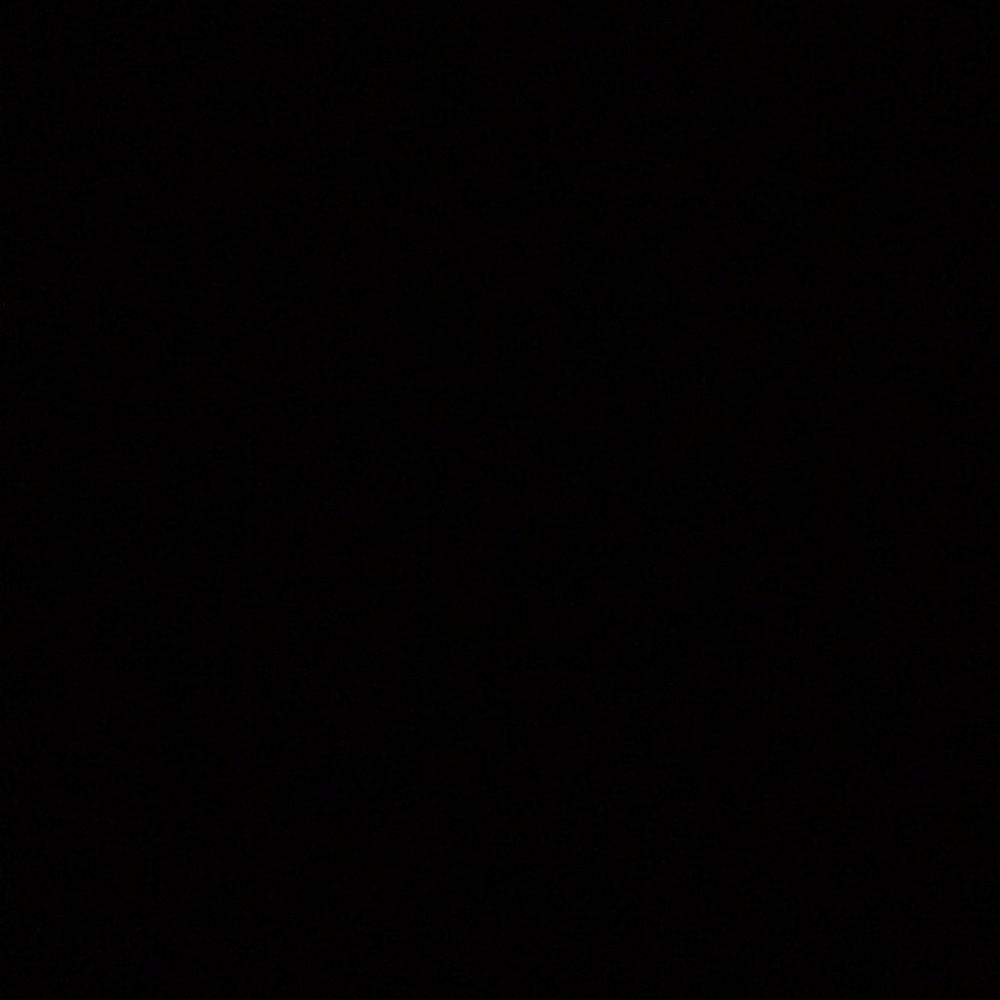 Meet your Posher, Monique